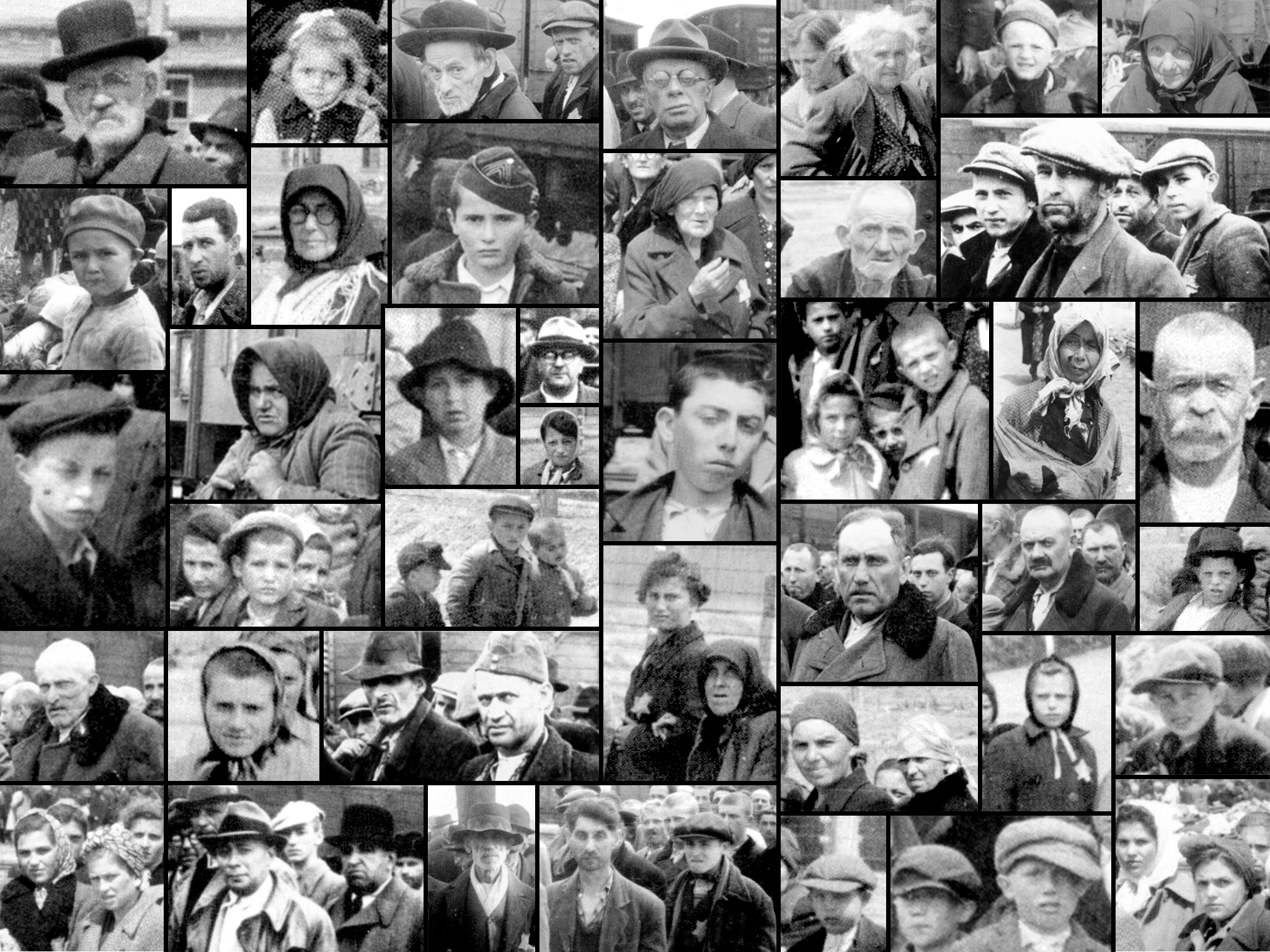 Exposition : « Comment les nazis ont photographié leurs crimes. Auschwitz 1944 »