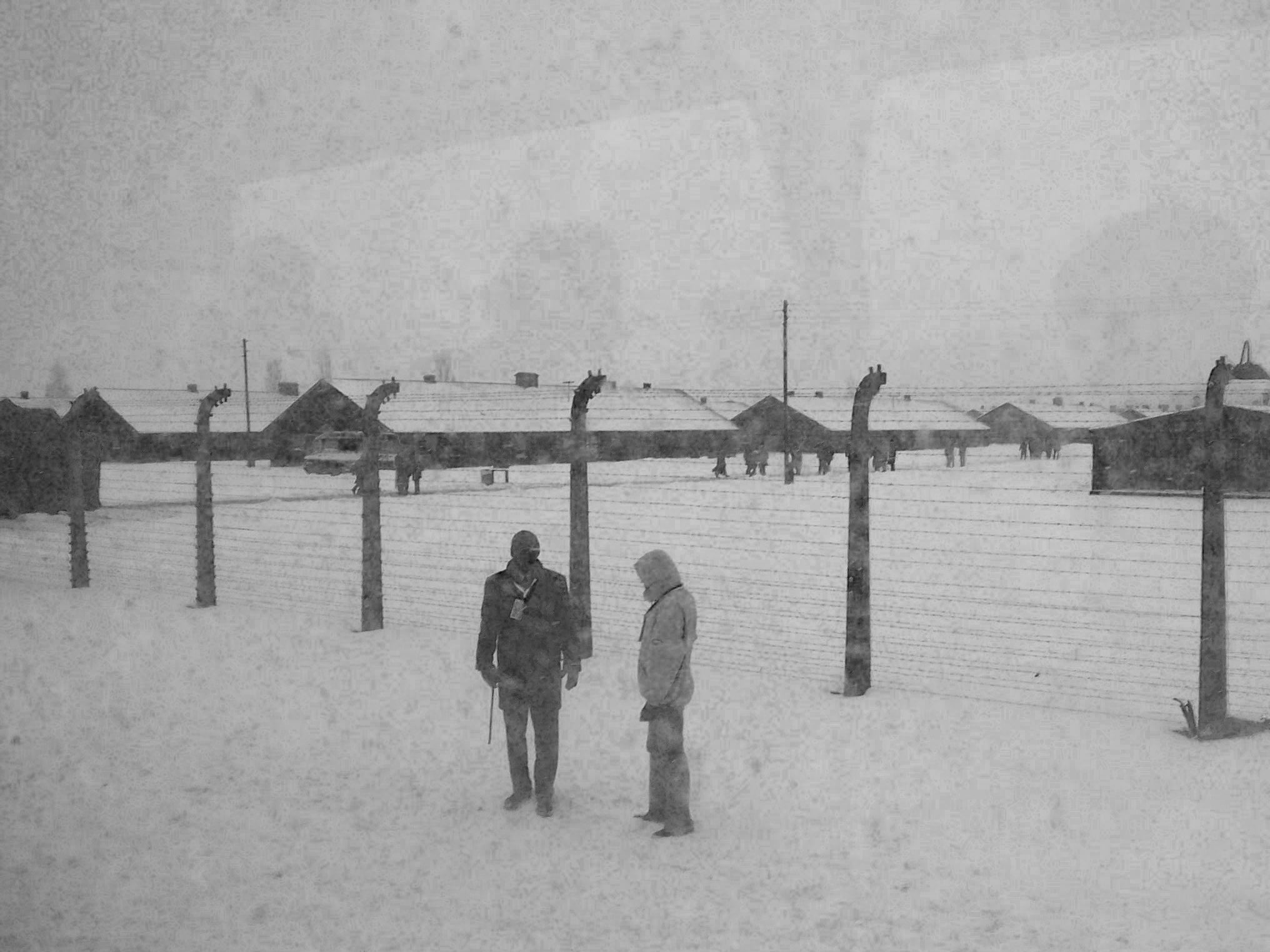 Exposition : Auschwitz-Birkenau vu par Raymond Depardon