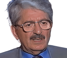 Grinholtz Albert (Abor)
