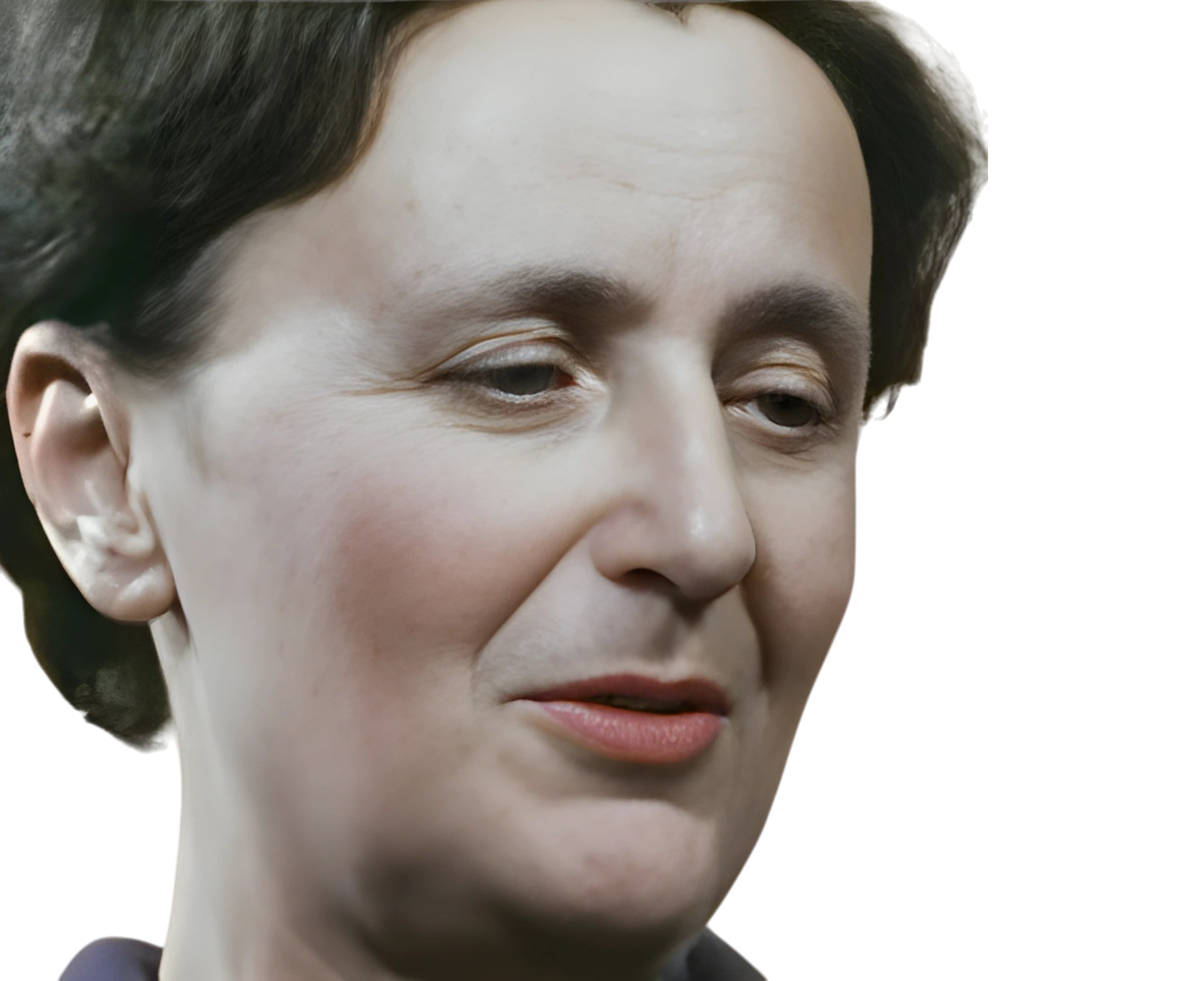 Alcan Louise