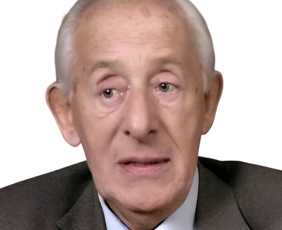 Feldman Michel
