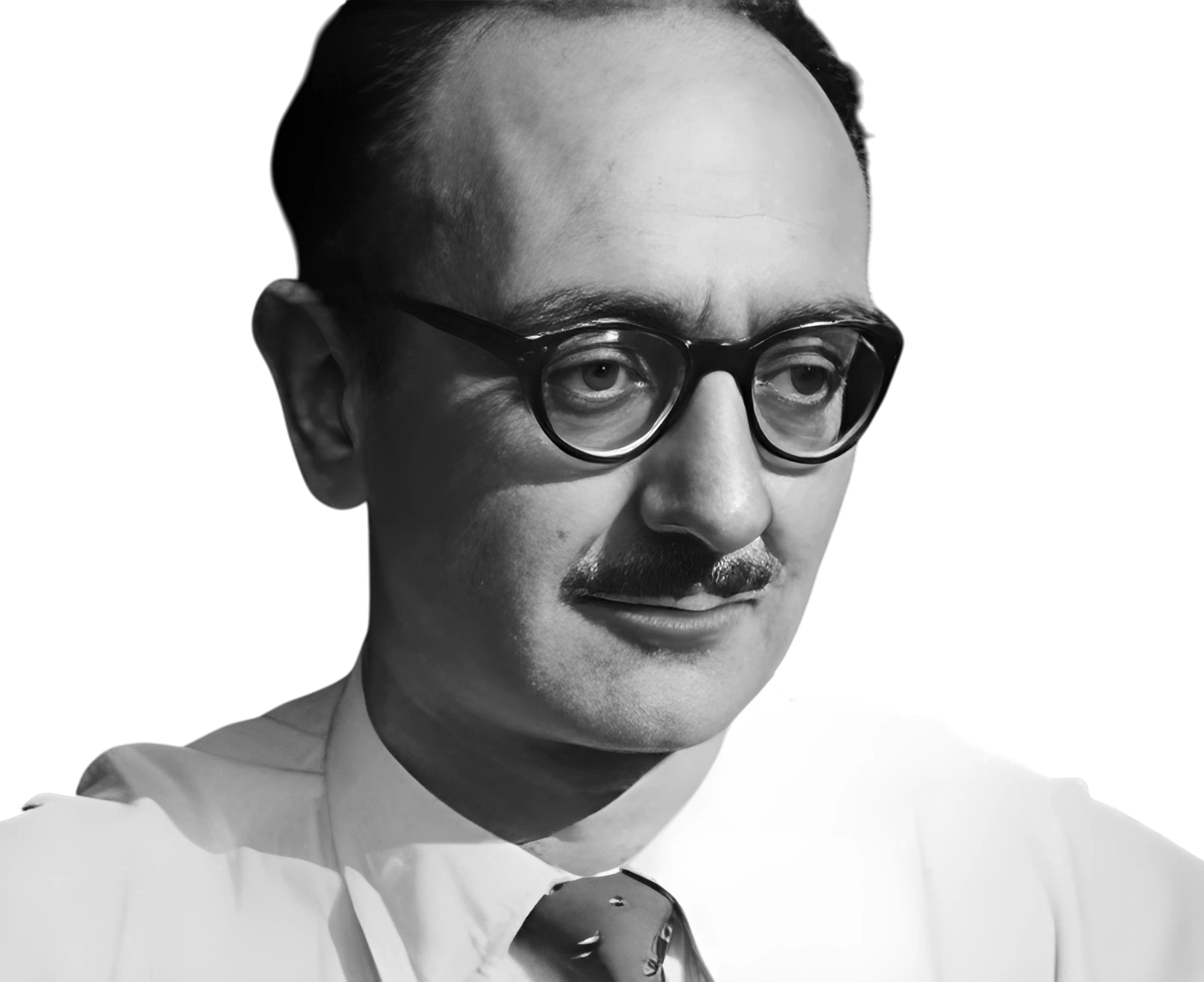 Amat Piniella Joaquim