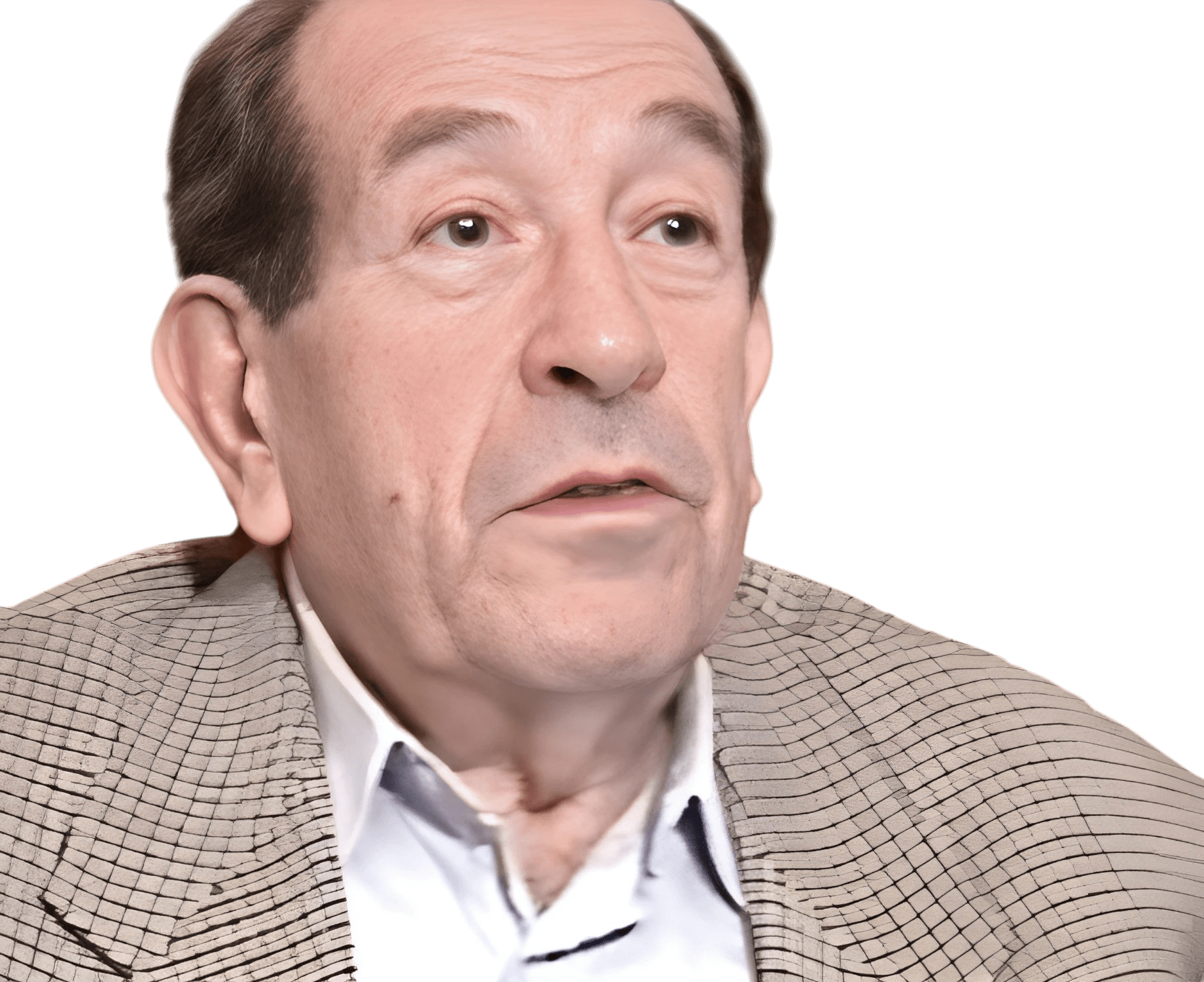 Brajer Zalmen