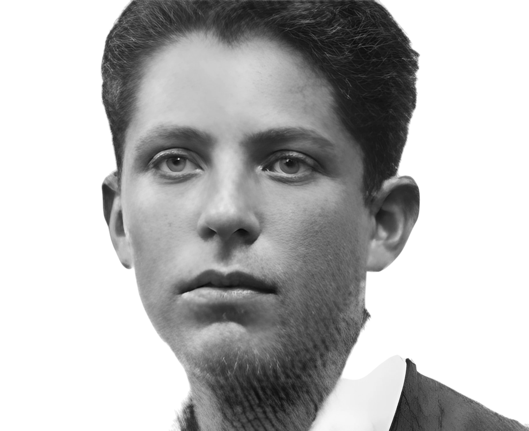 Fogel Willy