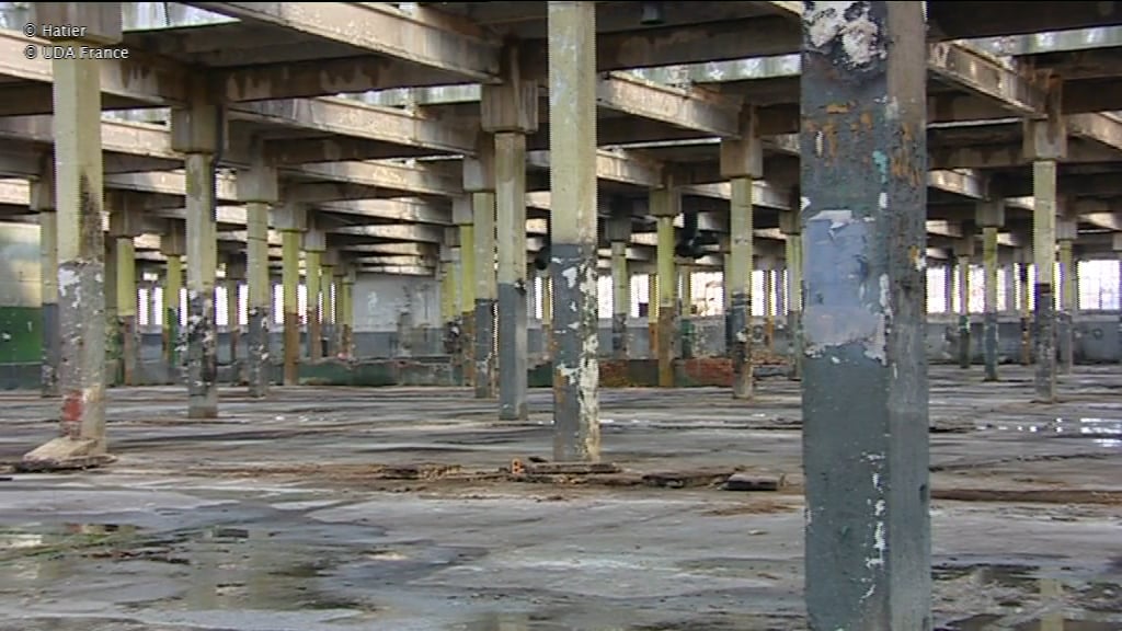 J'ai eu le privilège et la chance de rentrer dans l'usine