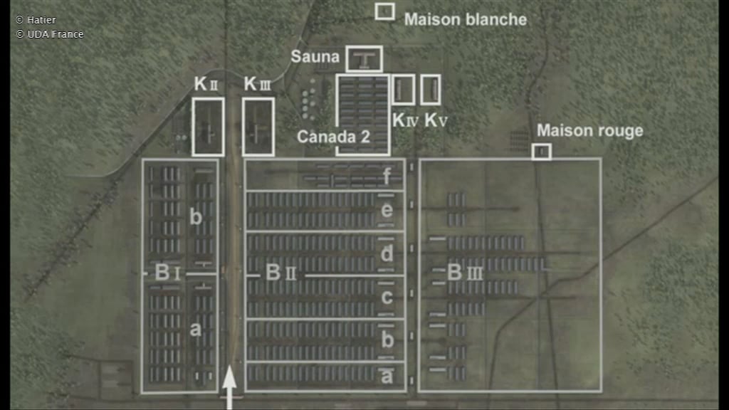 Birkenau